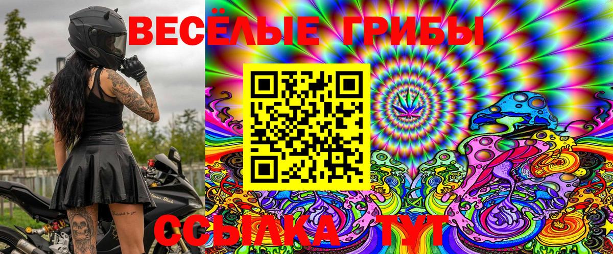 Псилоцибиновые грибы Magic Shrooms  Вход с VPN  Псилоцибиновые грибы Psilocybine cubensis  Богородицк 