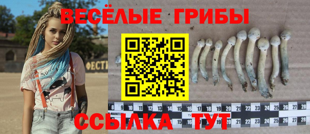 Псилоцибиновые грибы мухоморы Богородицк